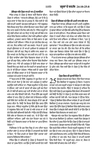 Punjabi bible 90)_new_testament