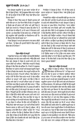 Punjabi bible 90)_new_testament