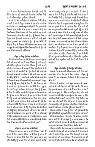 Punjabi bible 90)_new_testament