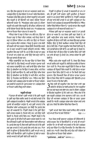 Punjabi bible 90)_new_testament