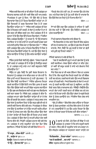 Punjabi bible 90)_new_testament