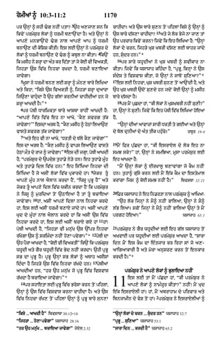 Punjabi bible 90)_new_testament