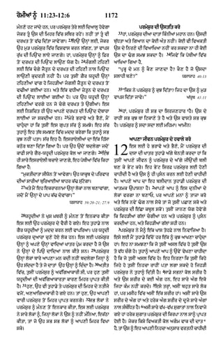 Punjabi bible 90)_new_testament