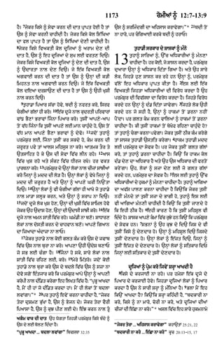 Punjabi bible 90)_new_testament