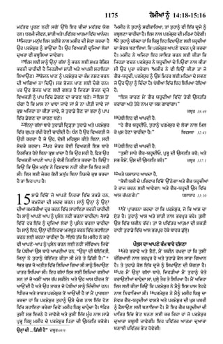 Punjabi bible 90)_new_testament
