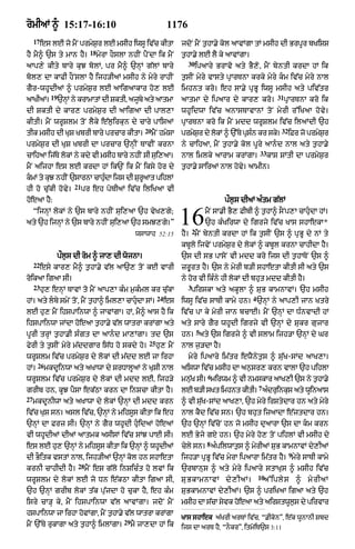 Punjabi bible 90)_new_testament