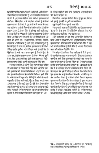 Punjabi bible 90)_new_testament