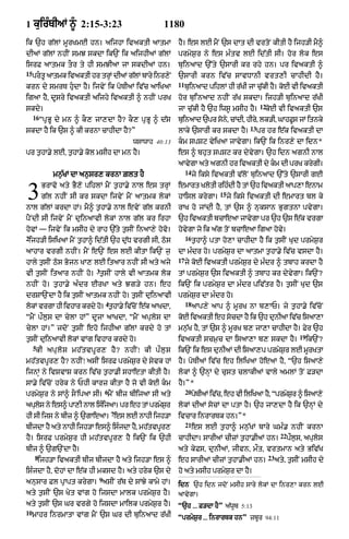 Punjabi bible 90)_new_testament