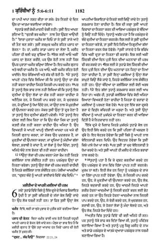 Punjabi bible 90)_new_testament