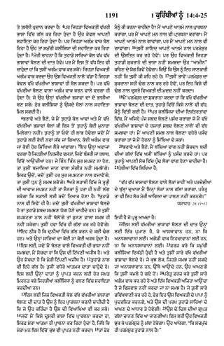 Punjabi bible 90)_new_testament