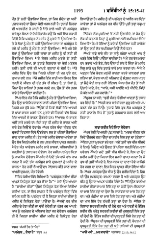 Punjabi bible 90)_new_testament