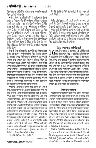 Punjabi bible 90)_new_testament