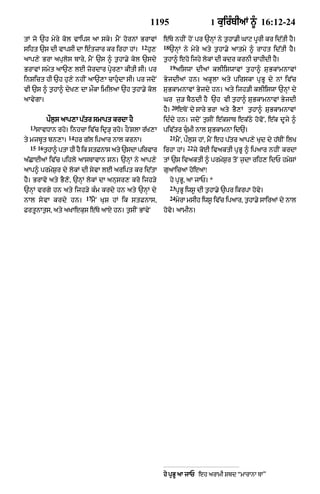 Punjabi bible 90)_new_testament