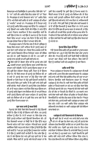 Punjabi bible 90)_new_testament
