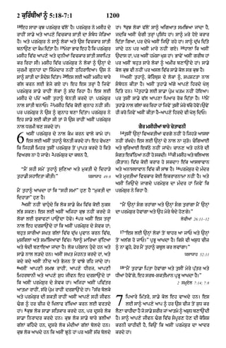Punjabi bible 90)_new_testament