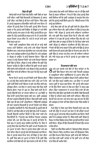 Punjabi bible 90)_new_testament