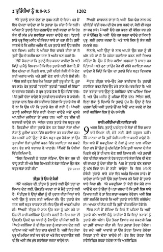 Punjabi bible 90)_new_testament