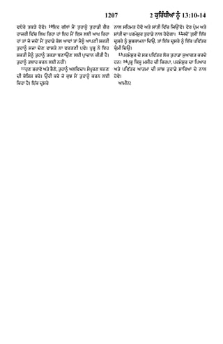 Punjabi bible 90)_new_testament