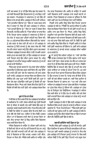 Punjabi bible 90)_new_testament