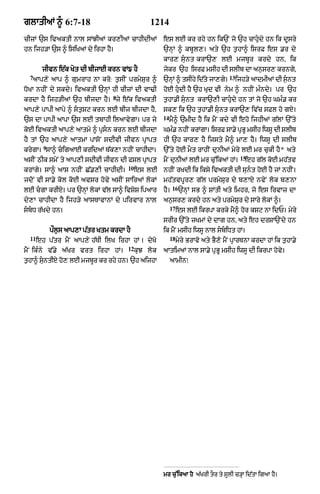 Punjabi bible 90)_new_testament