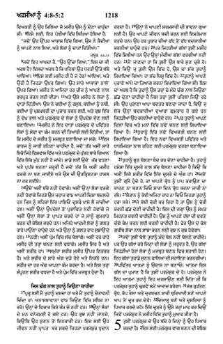 Punjabi bible 90)_new_testament