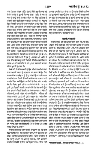 Punjabi bible 90)_new_testament