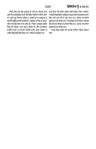 Punjabi bible 90)_new_testament