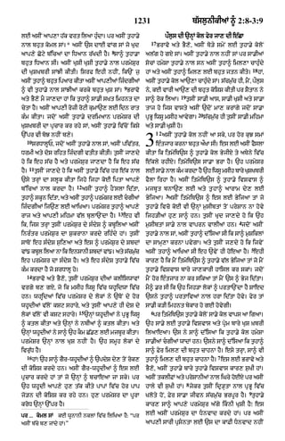 Punjabi bible 90)_new_testament