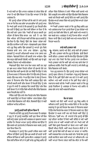 Punjabi bible 90)_new_testament