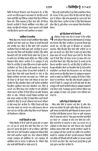 Punjabi bible 90)_new_testament