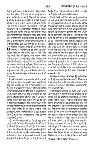 Punjabi bible 90)_new_testament