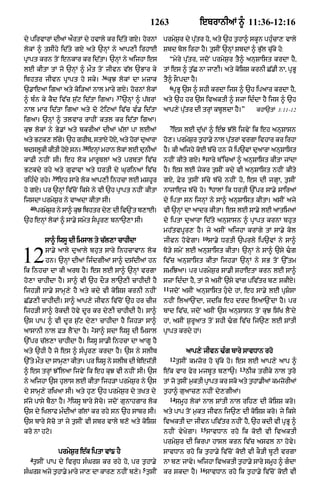 Punjabi bible 90)_new_testament