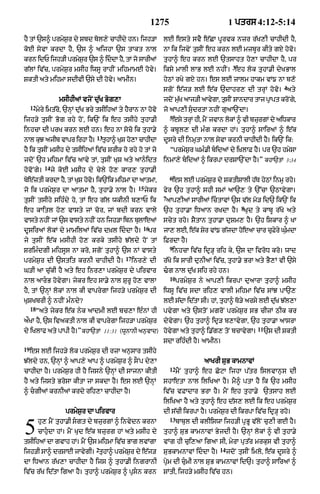 Punjabi bible 90)_new_testament