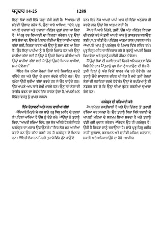 Punjabi bible 90)_new_testament