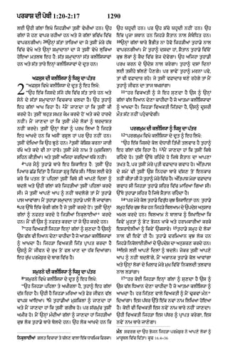 Punjabi bible 90)_new_testament