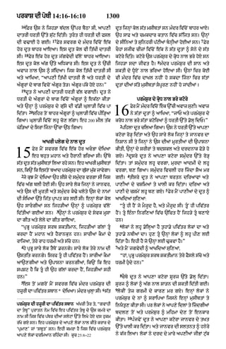 Punjabi bible 90)_new_testament