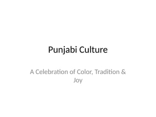 Pakistani punjabi_Culture_Presentation (5).pptx