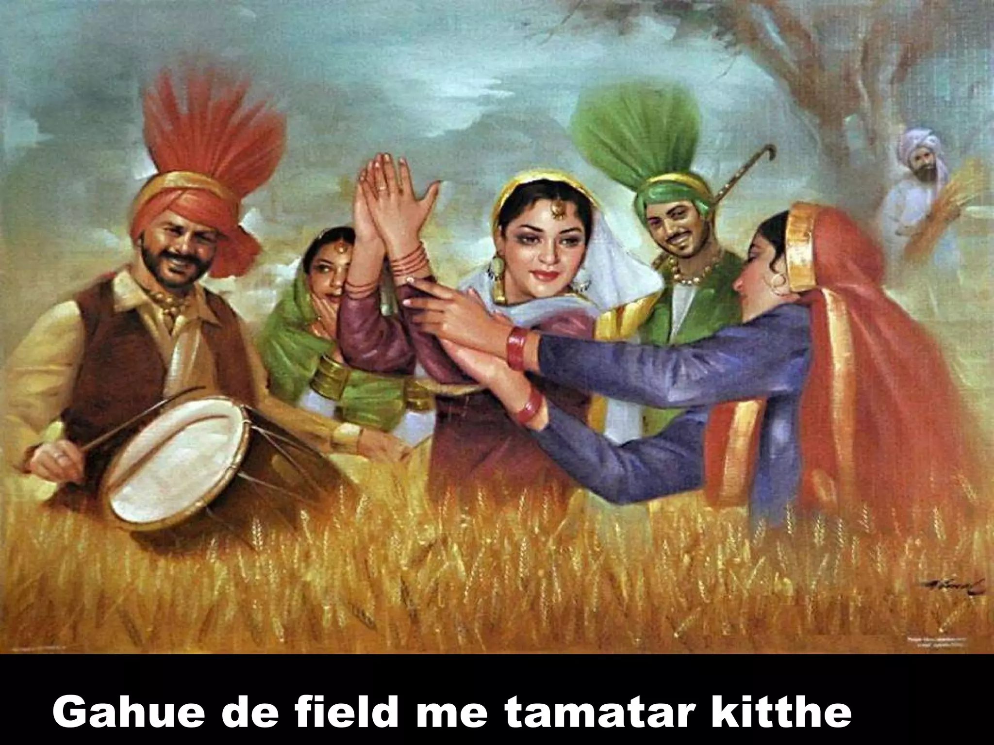 Gahue de field me tamatar kitthe