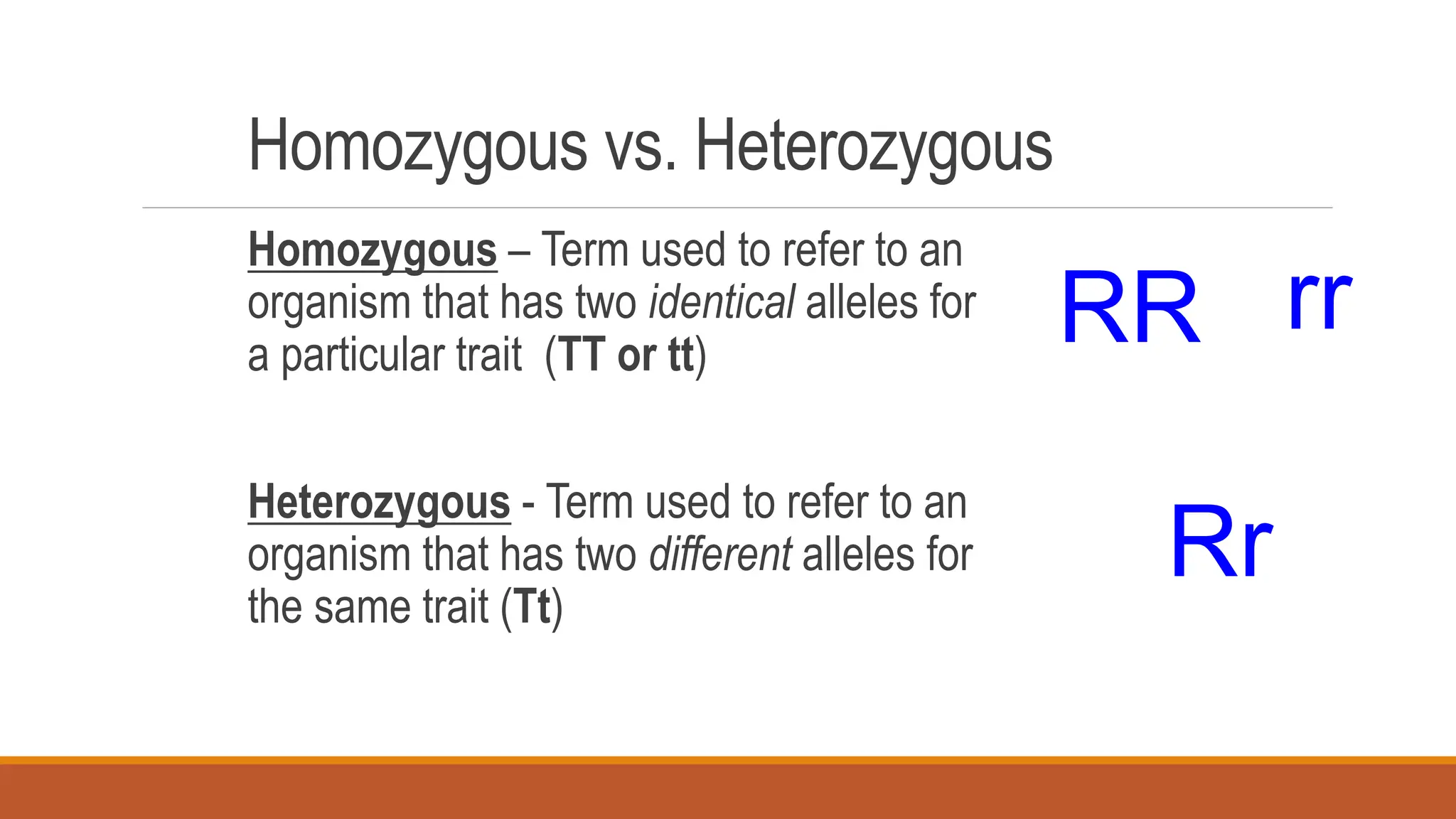 Homozygous vs. Heterozygous
Homozygous – Term used to refer to an
organism that has two identical alleles for
a particular trait (TT or tt)
Heterozygous - Term used to refer to an
organism that has two different alleles for
the same trait (Tt)
RR
Rr
rr
 