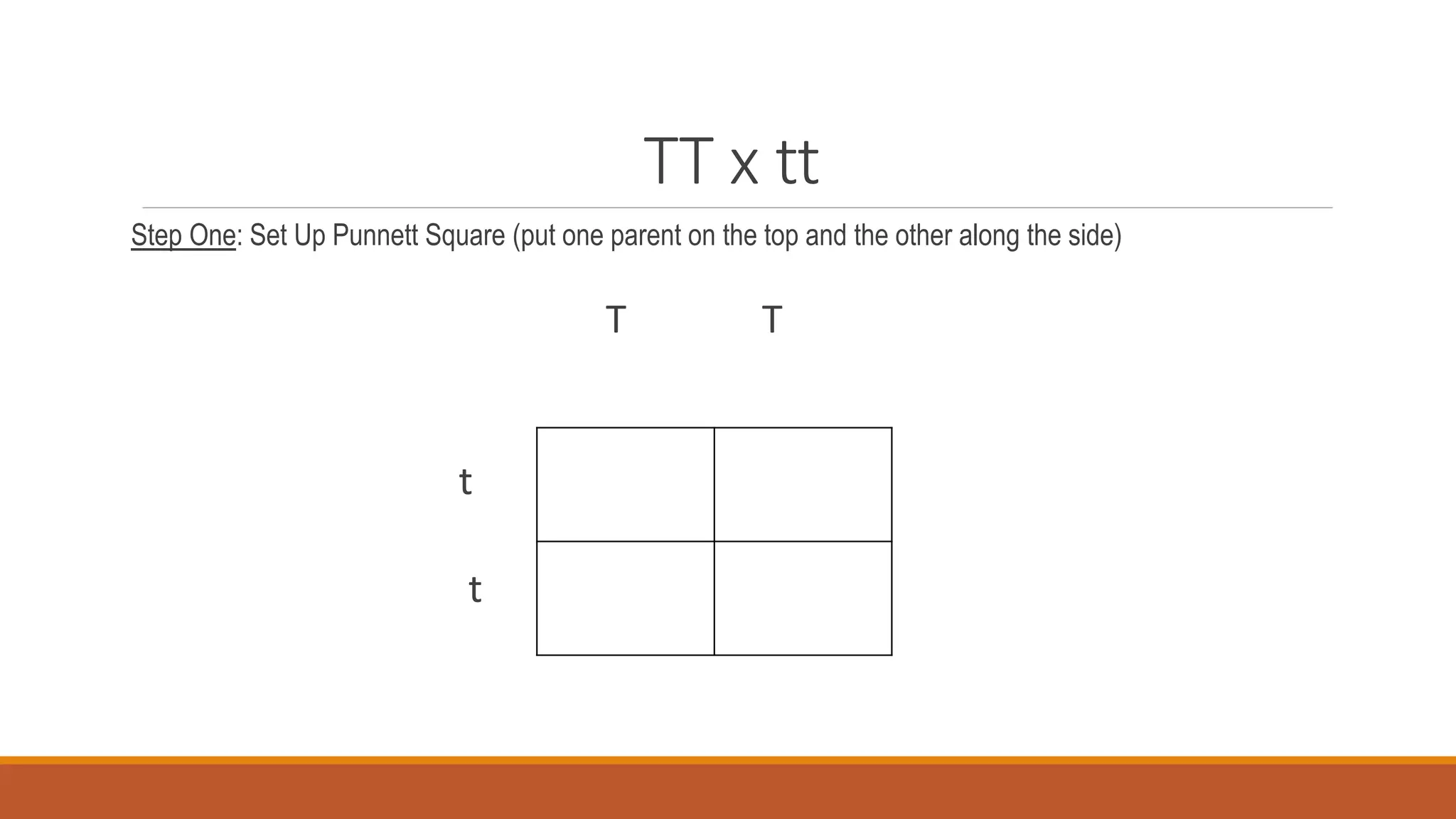 TT x tt
Step One: Set Up Punnett Square (put one parent on the top and the other along the side)
T T
t
t
 