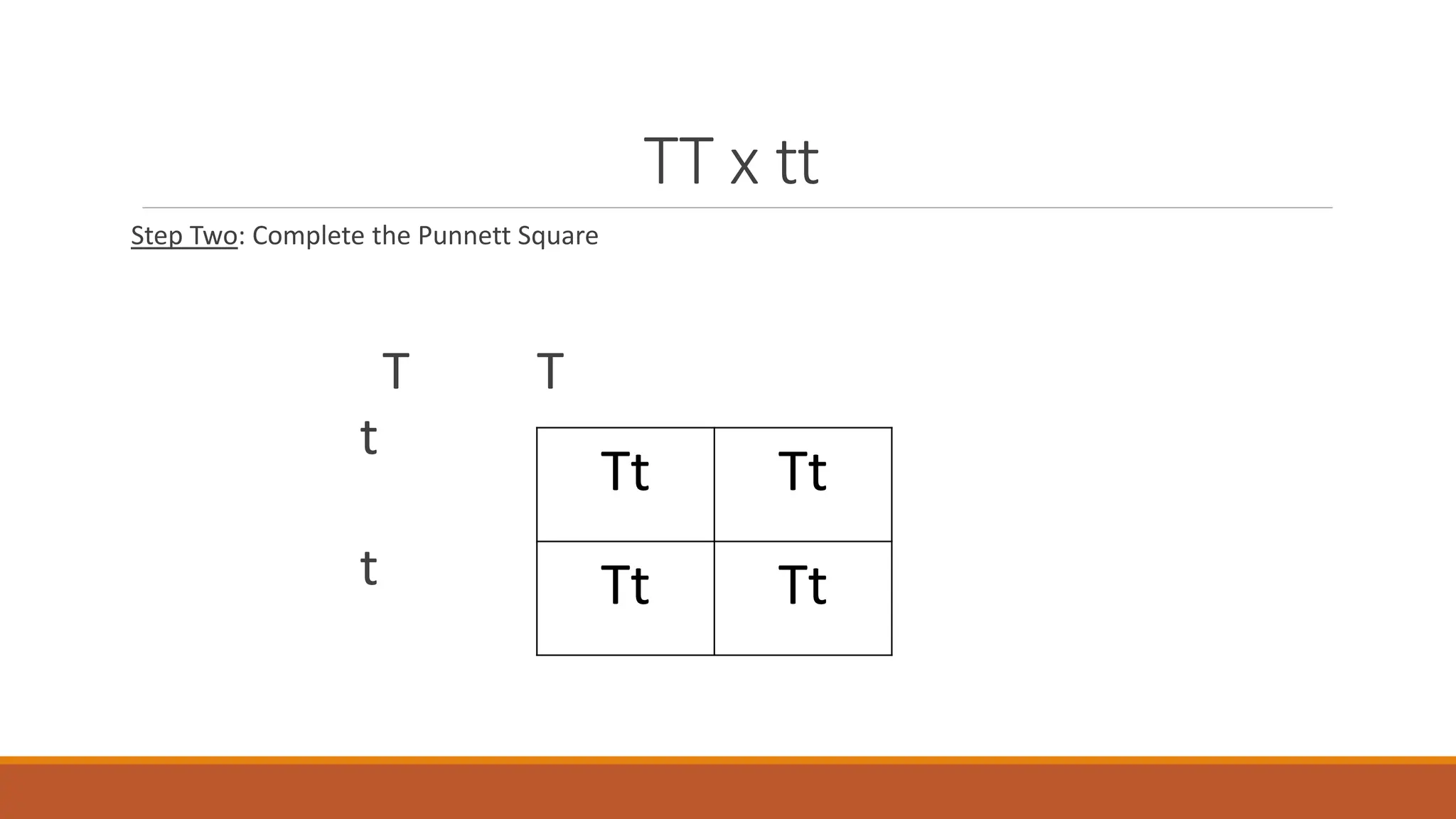 TT x tt
Step Two: Complete the Punnett Square
T T
t
t
Tt Tt
Tt Tt
 
