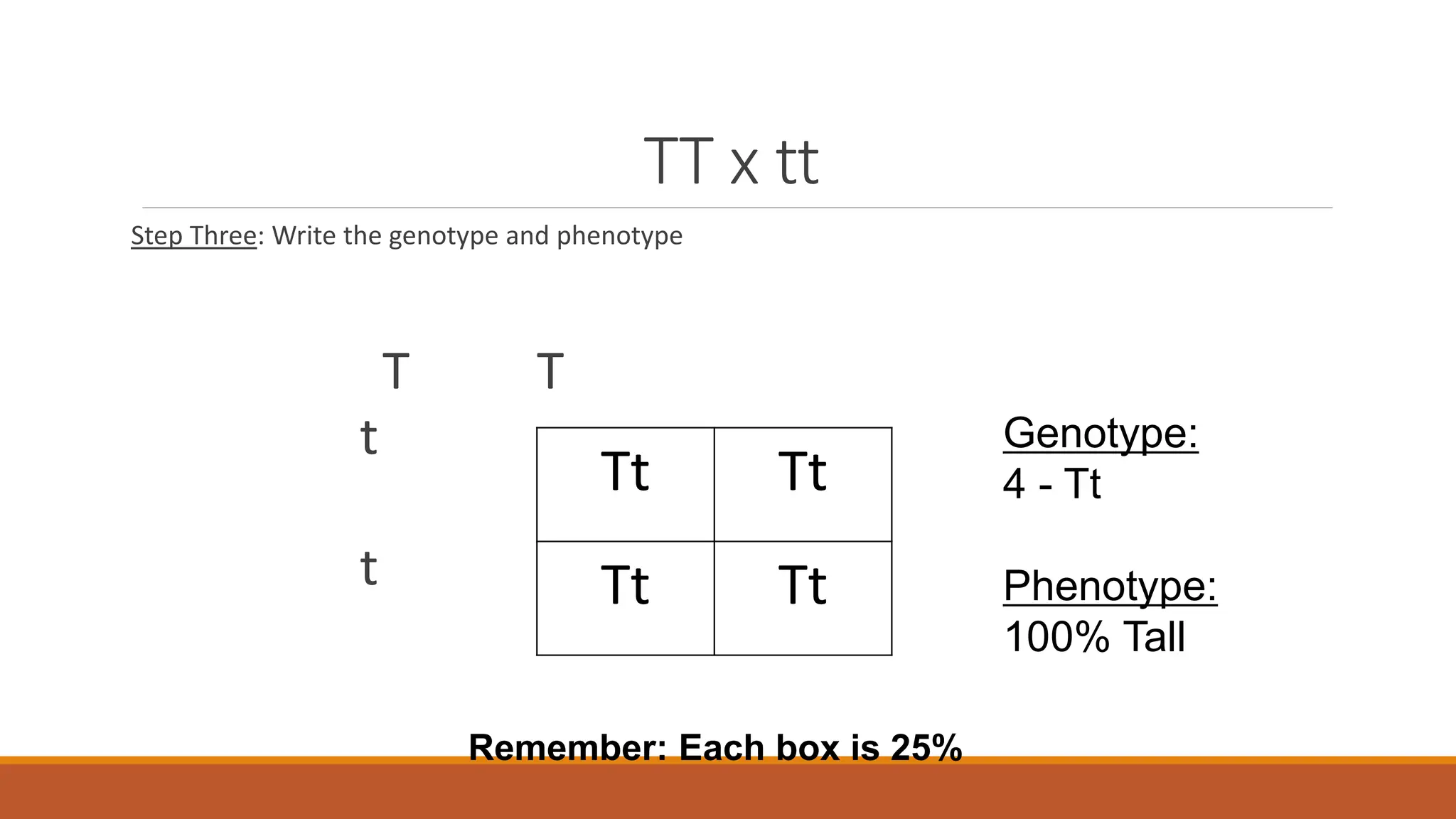TT x tt
Step Three: Write the genotype and phenotype
T T
t
t
Tt Tt
Tt Tt
Genotype:
4 - Tt
Phenotype:
100% Tall
Remember: Each box is 25%
 
