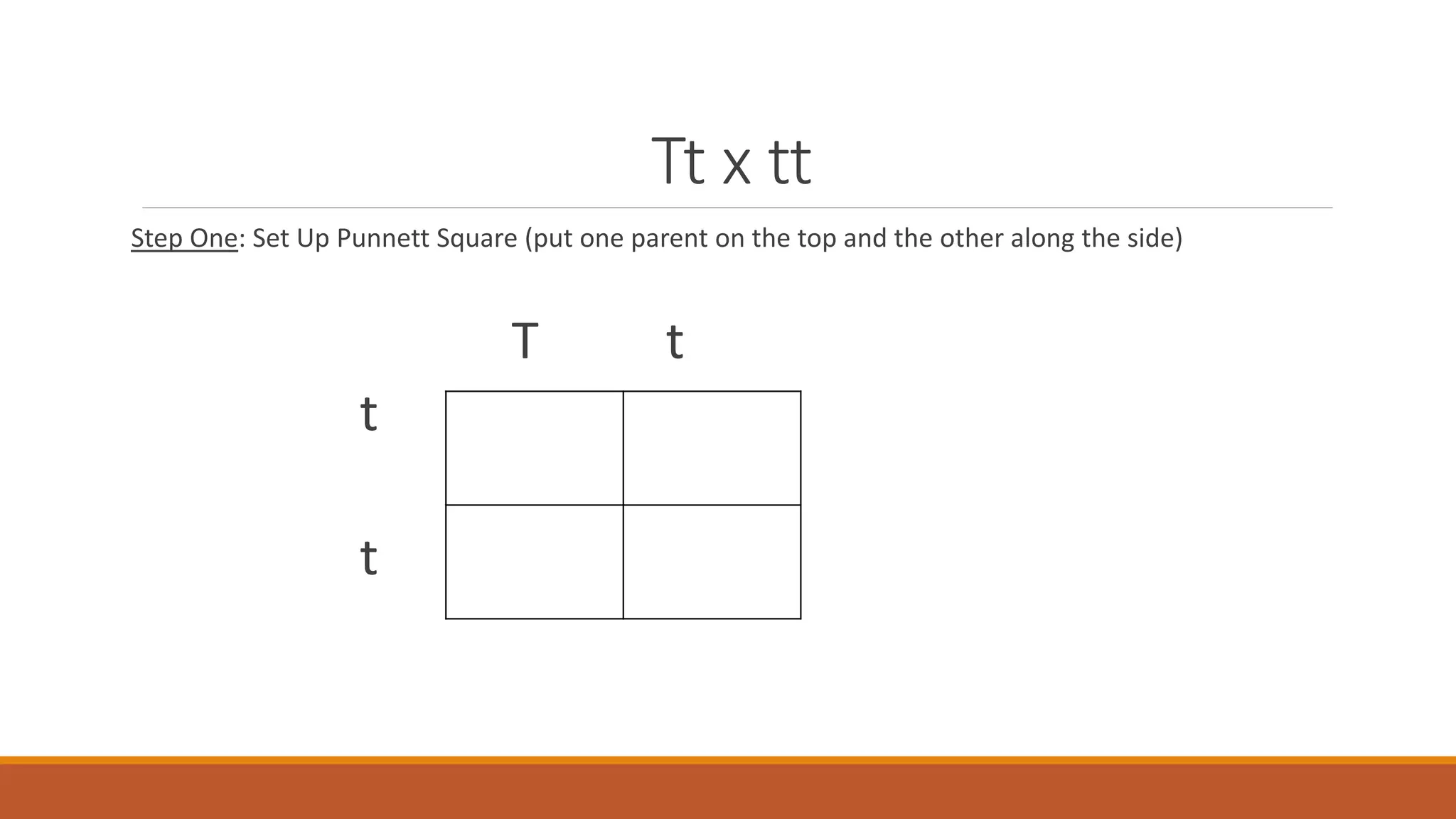 Tt x tt
Step One: Set Up Punnett Square (put one parent on the top and the other along the side)
T t
t
t
 