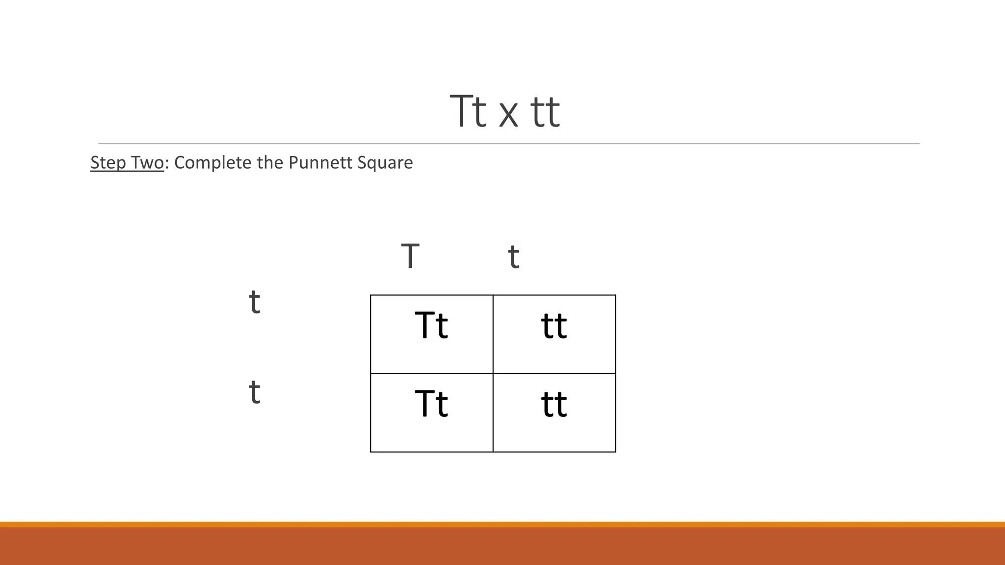 Tt x tt
Step Two: Complete the Punnett Square
T t
t
t
Tt tt
Tt tt
 