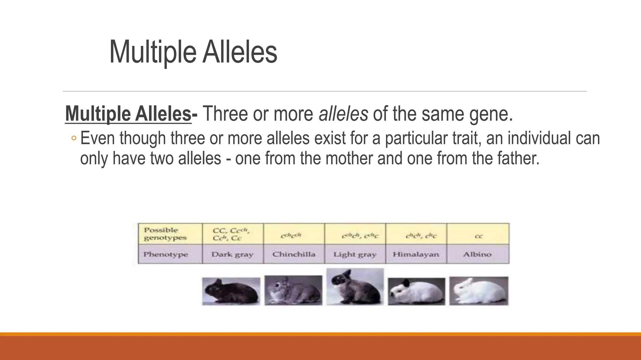 Multiple Alleles
Multiple Alleles- Three or more alleles of the same gene.
◦ Even though three or more alleles exist for a particular trait, an individual can
only have two alleles - one from the mother and one from the father.
 