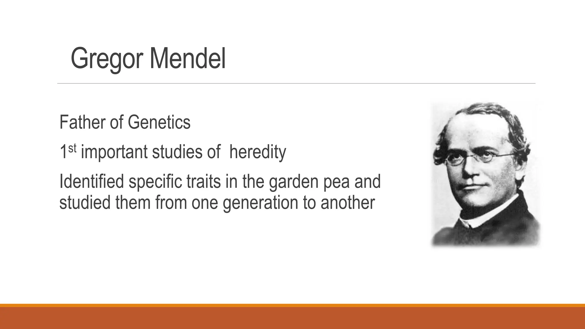 Gregor Mendel
Father of Genetics
1st important studies of heredity
Identified specific traits in the garden pea and
studied them from one generation to another
 