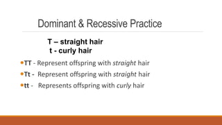 Dominant & Recessive Practice
TT - Represent offspring with straight hair
Tt - Represent offspring with straight hair
tt - Represents offspring with curly hair
T – straight hair
t - curly hair
 