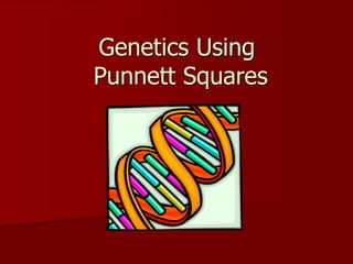 Genetics Using
Punnett Squares
 