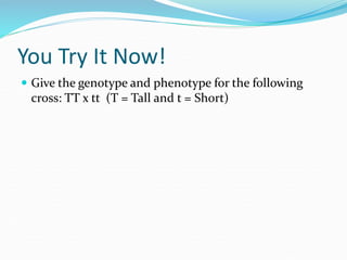 You Try It Now!
 Give the genotype and phenotype for the following
cross: TT x tt (T = Tall and t = Short)
 