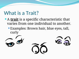 What is a Trait?
 A trait is a specific characteristic that
varies from one individual to another.
 Examples: Brown hair, blue eyes, tall,
curly
 